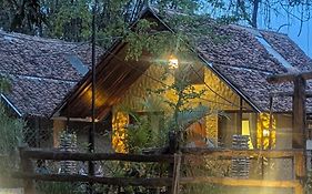 Thori Jungle Resort, Chitwan National Park